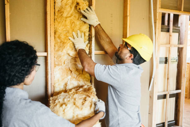 Best Batt and Roll Insulation  in West Hollywood, CA